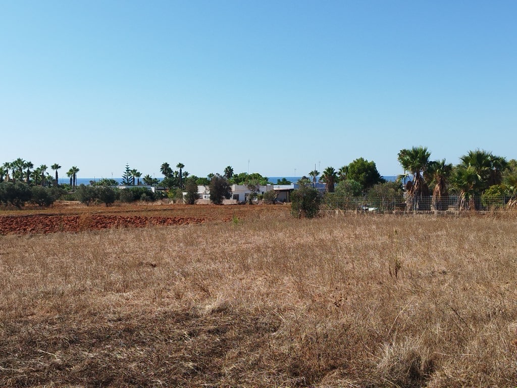 Giano Group Immobiliare